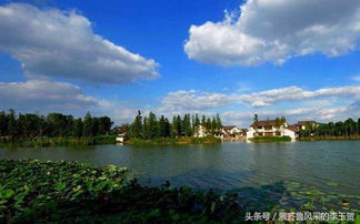 中國千強鎮(zhèn)前十強 被江蘇 廣東兩省瓜分殆盡,浙江無一入圍