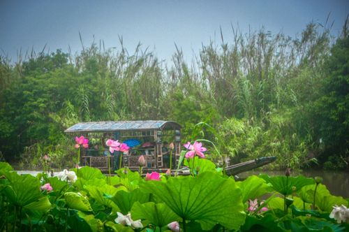 粽 情一夏 我市文旅市場逐漸復蘇回暖