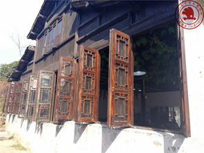 沙家浜慢走 一家人的水鄉時光漫記