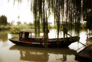 沙家浜一日游 沉浸紅色經(jīng)典，盡享水鄉(xiāng)風(fēng)情