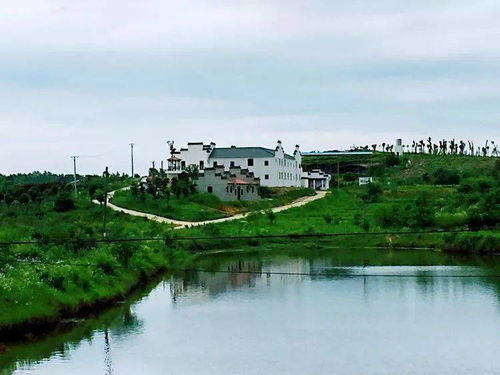 新洲民宿與沙家浜深度游攻略 | 江南水鄉(xiāng)的詩意棲居與紅色記憶之旅